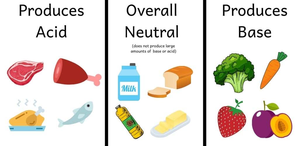 Pictures of food that produces acid (steak, ham, chicken and fish), are neutral (or do not produce much either acid or base: milk, bread and fats) and foods that produce base (broccoli, carrots, berries and plums)